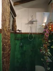 ein Bad mit einer Dusche und einer grünen Wand in der Unterkunft Casa rústica com piscina - SJC in Eugênio de Melo