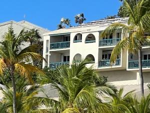 NazarethにあるSt Thomas -Spectacular Views of St John- Ocean Front!のヤシの木が前に立つ白い建物