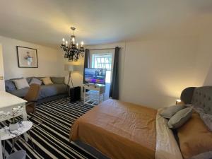 a living room with a bed and a couch at 1 Bed Apartment Oxford - Fits 4 Guests in Oxford
