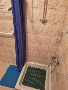 a shower with a green squeegee in a bathroom at Animari Apartments in Stari Grad