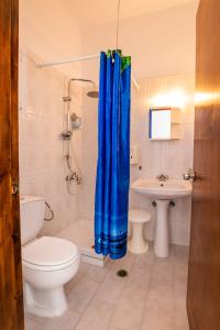 a bathroom with a toilet and a blue shower curtain at Perama Hotel, Karpathos in Amoopi