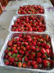 Cibo presso l'agriturismo o nelle vicinanze