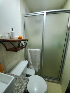 La salle de bains est pourvue d'une douche et de toilettes. dans l'établissement SUITE AMOBLADA CERCA DEL MALL DEL RIO, à Cuenca