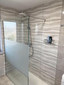 W łazience znajduje się prysznic ze szklanymi drzwiami. w obiekcie Stadt. Land. See. Ferienwohnung Leipzig w Lipsku