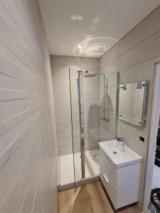 a white bathroom with a shower and a sink at Chez Émilie et John in Saint-Étienne +13 photos