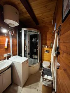 ein Badezimmer mit Dusche, Waschbecken und Toilette in der Unterkunft Domek Nowy Lubiel in Lubiel Stary