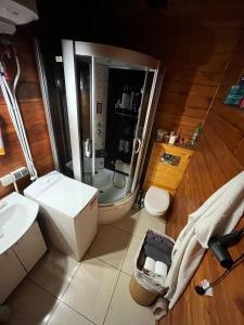 ein Badezimmer mit Dusche, Toilette und Waschbecken in der Unterkunft Domek Nowy Lubiel in Lubiel Stary