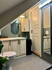 ein Badezimmer mit einem WC, einem Waschbecken und einem Spiegel in der Unterkunft Urban loftleilighet in Trondheim