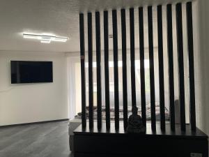 TV a/nebo společenská místnost v ubytování Apartment Aqualonnähe