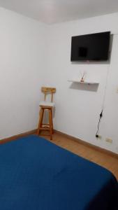 TV a/nebo společenská místnost v ubytování HABITACION EL VIAJERO