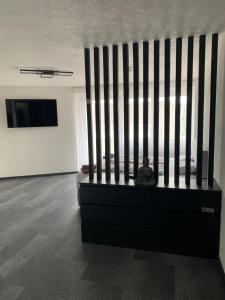 TV a/nebo společenská místnost v ubytování Apartment Aqualonnähe