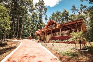 a log cabin in the woods with a walkway at Cabañas Los Encinos in Acaxochitlán
