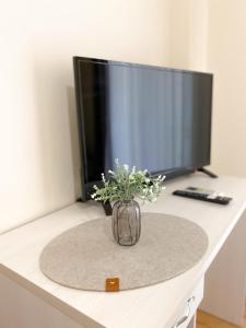 TV a/nebo společenská místnost v ubytování Faros Axd Downtown Hostel