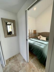 a bedroom with a bed and a mirror at Les Voyages du Loft, entre Eurexpo et St Exupéry in Genas