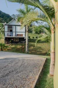 a palm tree in front of a house at Recanto Fogo na Taça (Chalé das Oliveiras) in Jaraguá do Sul