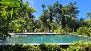 a swimming pool in a resort with palm trees at Passion Fruit Lodge in Cahuita