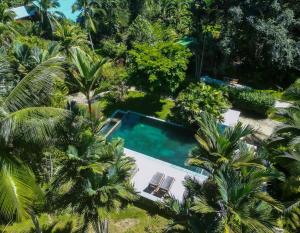 einen Luftblick auf einen Pool mit Palmen in der Unterkunft Passion Fruit Lodge in Cahuita