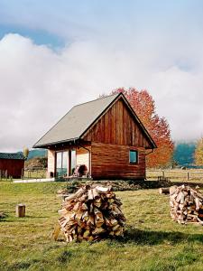 a barn with a pile of logs in front of it at Przewietrzona Głowa in Ponikwa