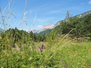 un champ d'herbe avec des montagnes en arrière-plan dans l'établissement Gîte des papillons du vercors, à Bouvante-Haut