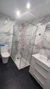 uma casa de banho com um chuveiro, um WC e um lavatório. em Apartamento en Inferniño Ferrol em Ferrol