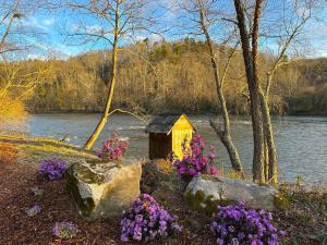 a bird house sitting next to a river with flowers at Asheville River Cabins in Arden
