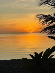 einen Sonnenuntergang über einem Wasserkörper mit einer Palme in der Unterkunft Rangiroa Sunny House in Avatoru