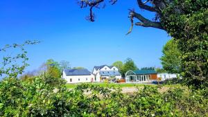 un grupo de casas con árboles en primer plano en Grove House Rooms, en Cork