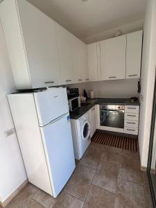 佐阿利的住宿－Appartamento Seterie，厨房配有白色冰箱和洗碗机。
