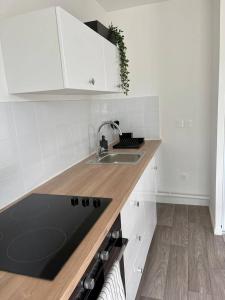 una cucina con lavandino e piano di lavoro di Allée des cedres a Villepinte