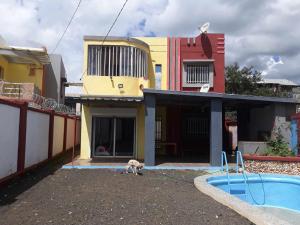 ein Hund steht vor einem Haus mit Pool in der Unterkunft Villa Caroline in Antsirabe