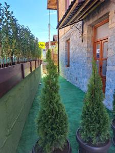 Taman di luar Stara kuća