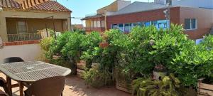 Jardí fora de Ca La Pia
