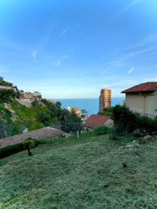 a hill with houses and the ocean in the background at Superbe T2 dans résidence avec piscine chauffée in Beausoleil +13 photos