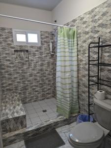 y baño con ducha y aseo. en Apartamento en Miraflores, en Tegucigalpa