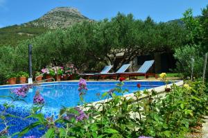 a swimming pool with chairs and a mountain in the background at Villa FANI KANUN in Bol