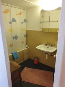 ein kleines Bad mit einem Waschbecken und einer Dusche in der Unterkunft L'appart - Couvet in Couvet
