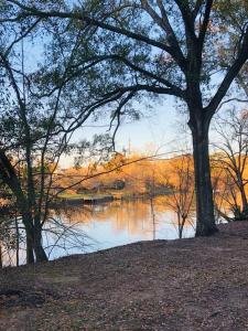 uma vista para um lago com árvores e o céu em Spacious Waterfront Cottage + 2.5 Acres on the Bay em Lafayette