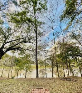 um caminho de tijolos num parque com árvores e um rio em Spacious Waterfront Cottage + 2.5 Acres on the Bay em Lafayette