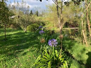 Φωτογραφία από το άλμπουμ του Casa Semilla σε Cotacachi