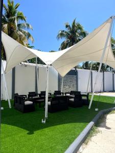 Tienda blanca en un césped con sillas y palmeras en Hotel Mar de Corales By CAJASAI, en San Andrés
