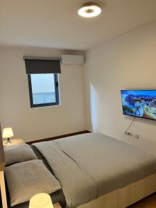 een slaapkamer met een bed en een tv aan de muur bij Blue lagoon apartment Przno in Budva