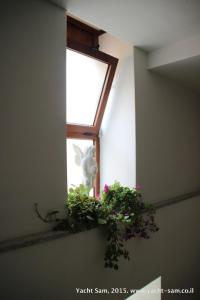 Fotografie z fotogalerie ubytování B&B Il Brigante v destinaci Alghero