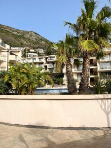 vistas a un edificio con palmeras en Blue lagoon apartment Przno, en Budva 20 fotos más