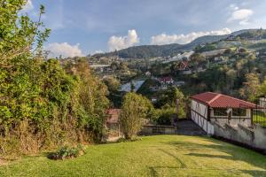 a house on a hill with a green yard at Casa en el centro de la colonia Tovar in El Tigre
