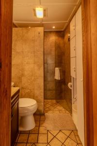 a bathroom with a toilet and a shower at Casa en el centro de la colonia Tovar in El Tigre