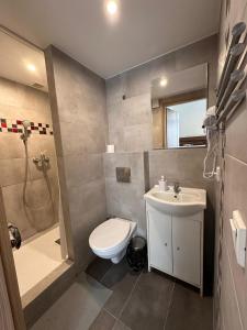 W łazience znajduje się toaleta, umywalka i prysznic. w obiekcie Apartamenty Gołębia-Genius w Poznaniu