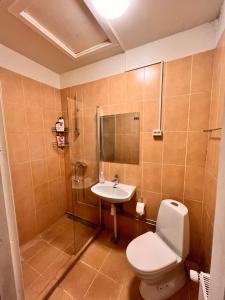 HBA Appartments Rodovre في Rødovre: حمام مع مرحاض ومغسلة