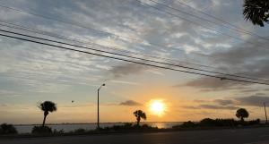 a sunset over a road with palm trees and a street light at River Palm Hotel in Melbourne