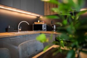 Kuchyň nebo kuchyňský kout v ubytování Kinga apartman