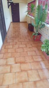 a room with a tile floor with two potted plants at Moifaka Studio Hotel in Moroni